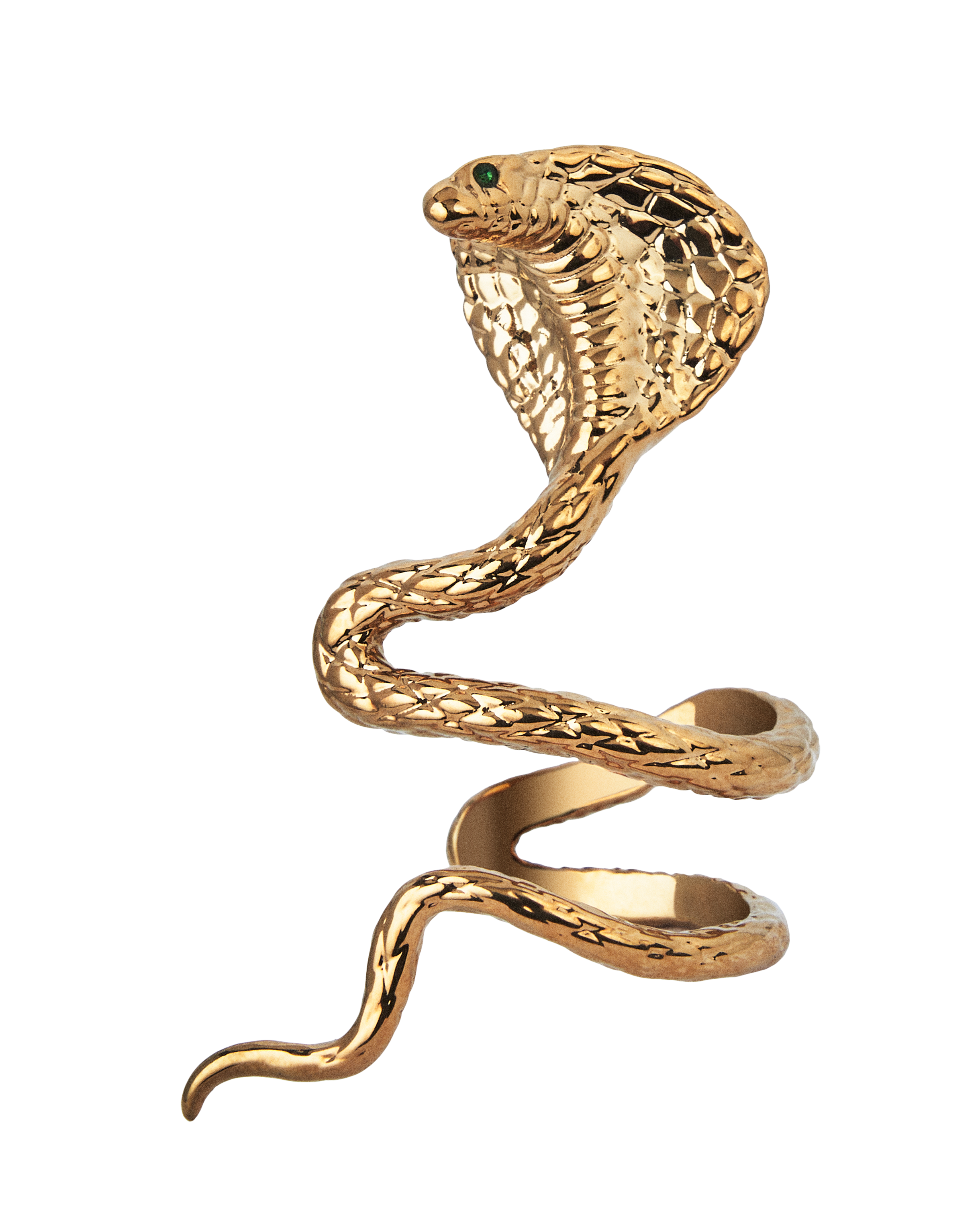 Reputation Album Snake Ear Cuff