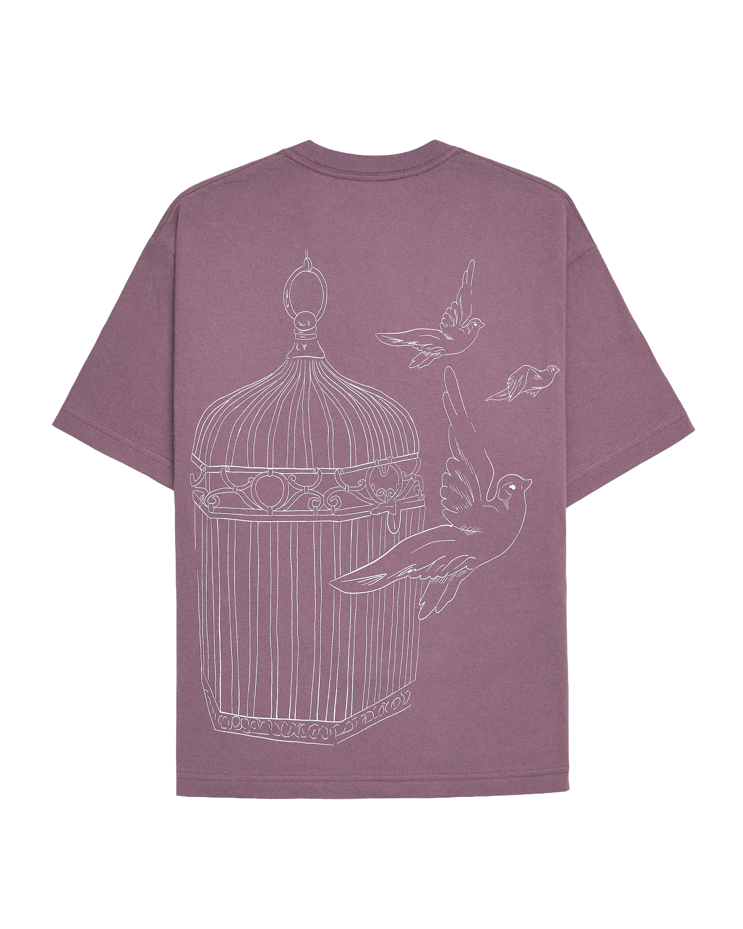 Speak Now (Taylor's Version) Bird Cage T-Shirt Back