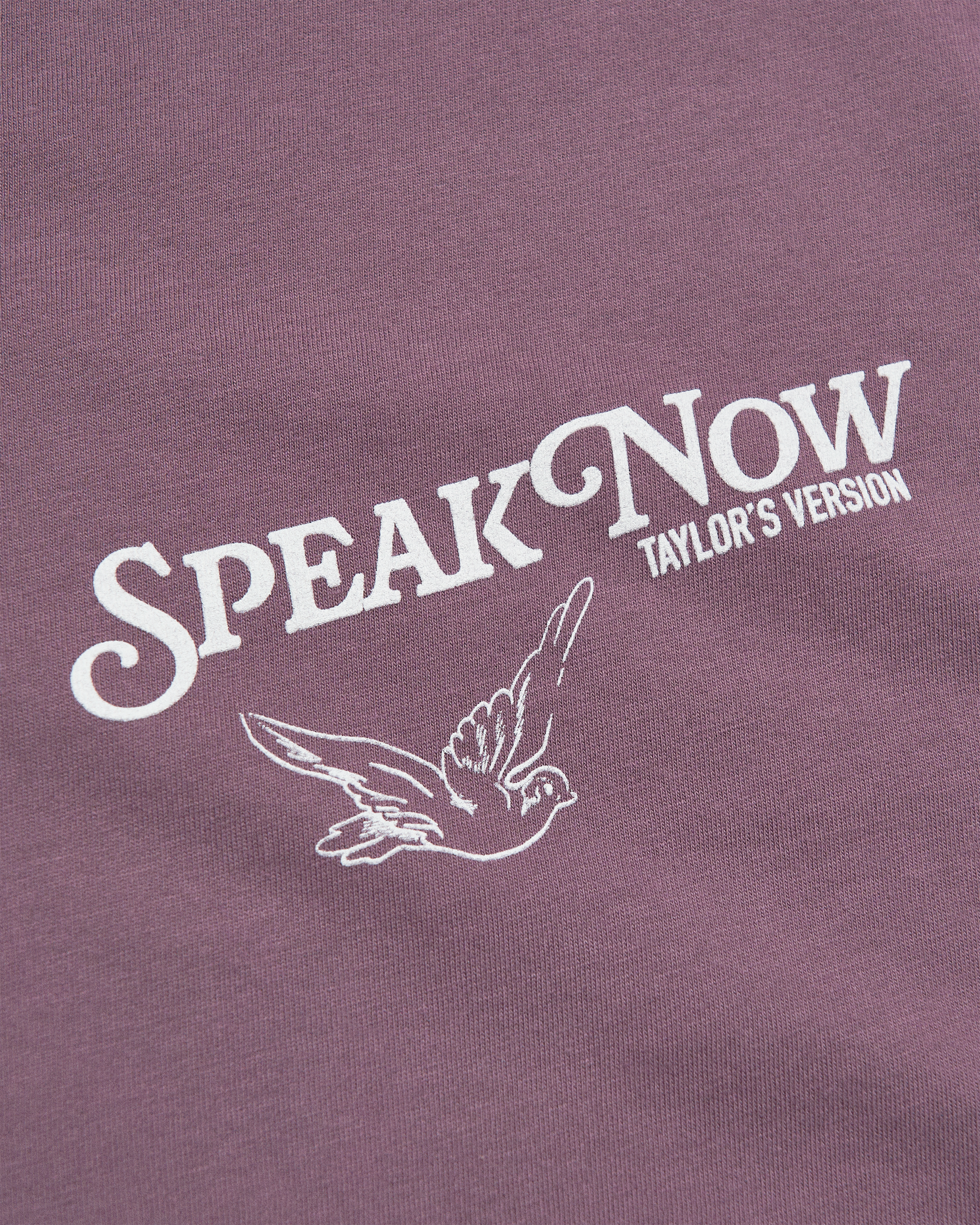Speak Now (Taylor's Version) Bird Cage T-Shirt Detail 2