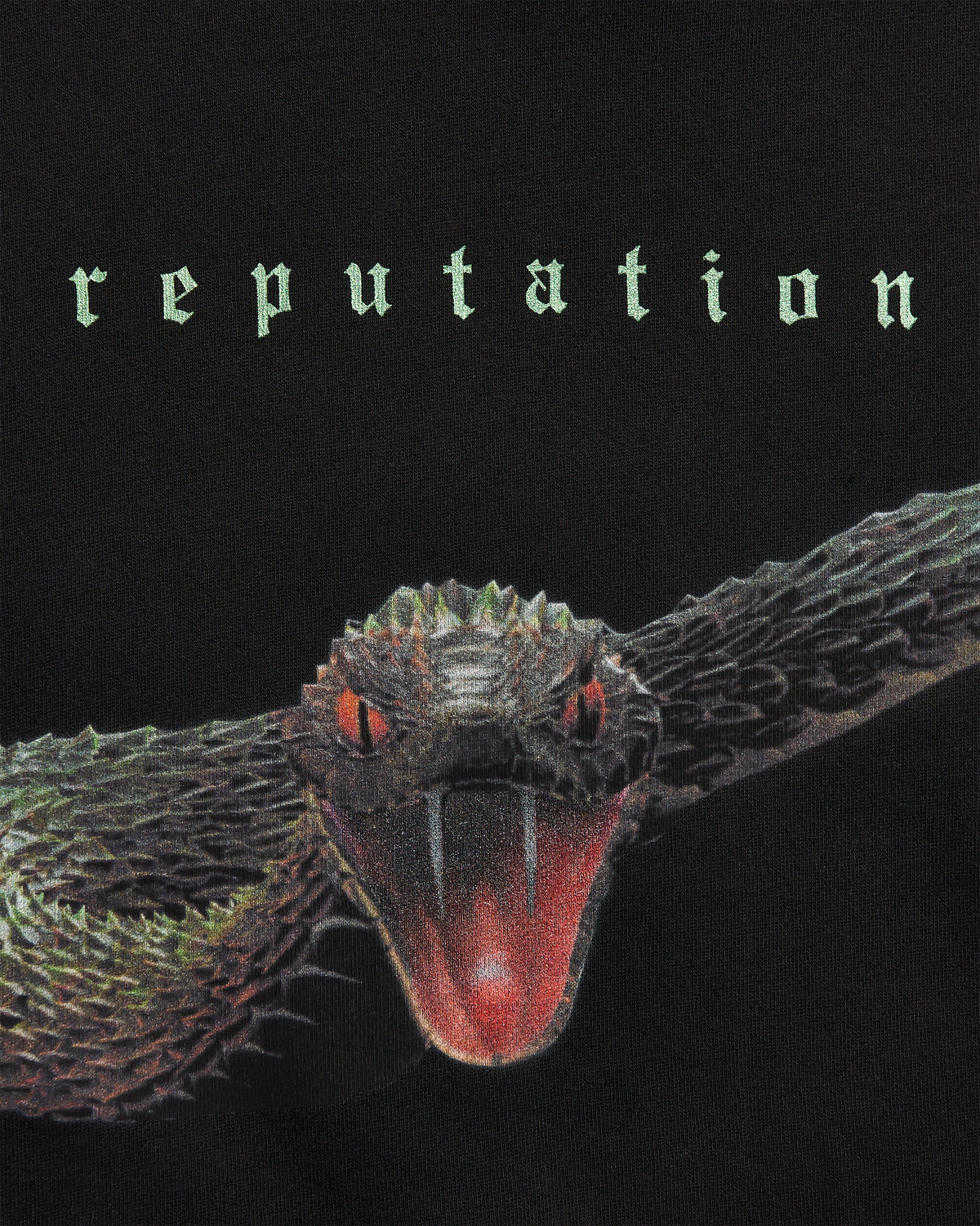 Reputation Official Merch Reputation Album Snake Hoodie – Taylor Swift Official Store