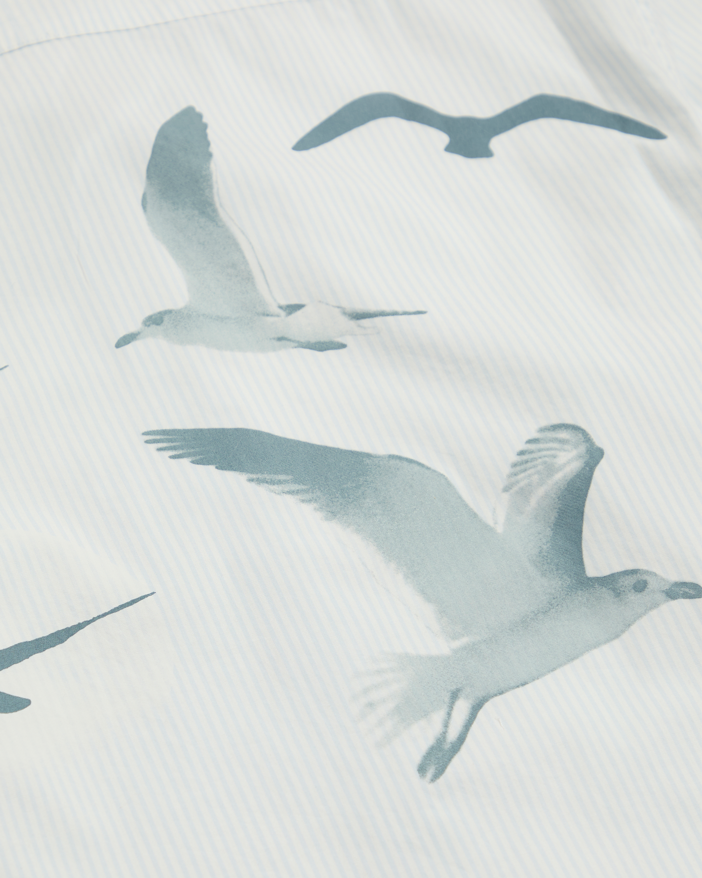 1989 (Taylor's Version) Seagull Blue Stripe Poplin Shirt – Taylor 1989 (Taylor's Version) Seagull Blue Stripe Poplin Shirt – Taylor