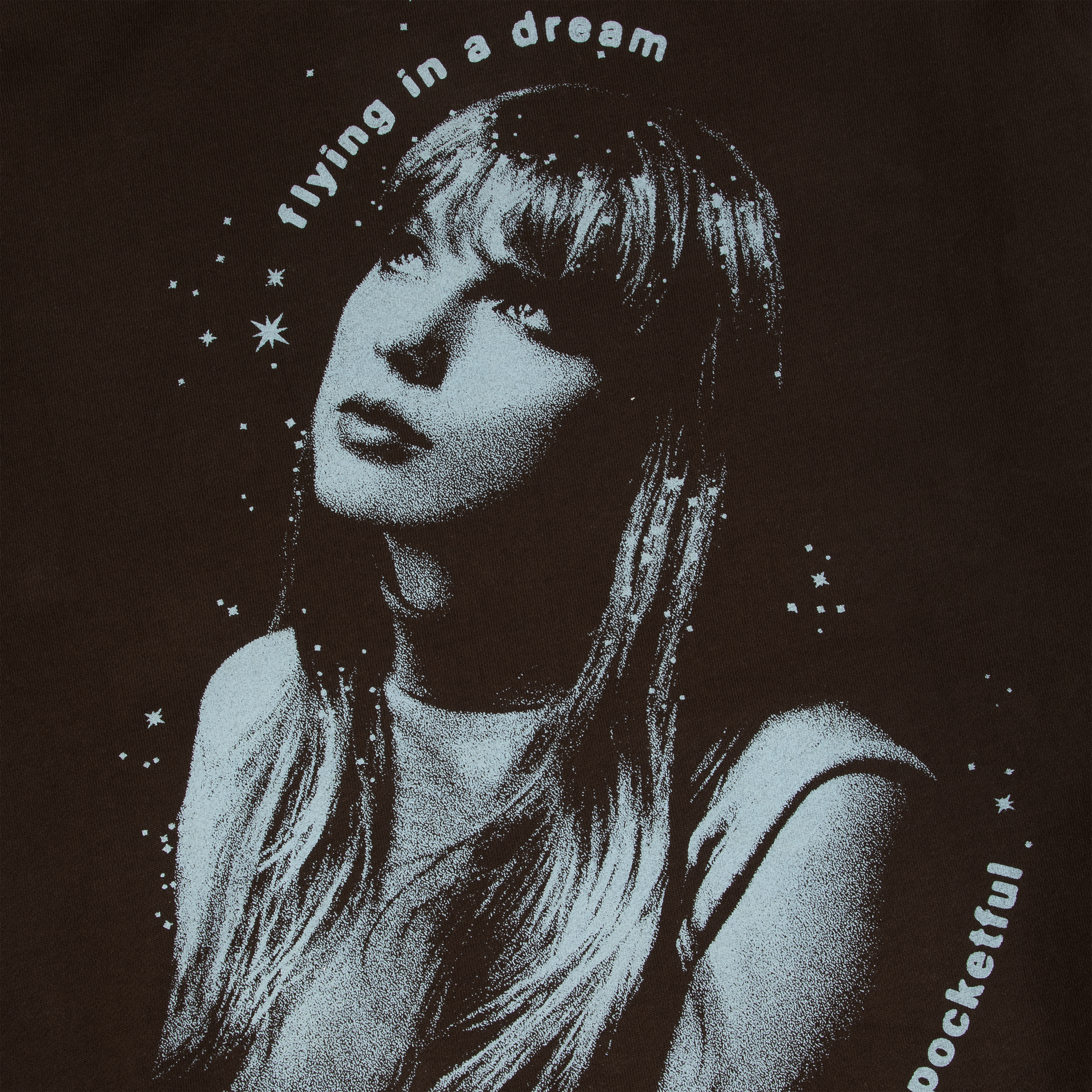 Taylor Swift Midnights Living In A Dream Brown Hoodie detail