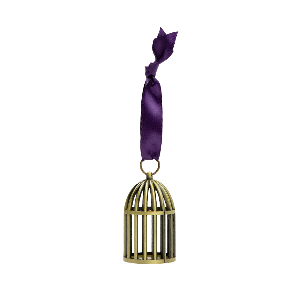 Speak Now (Taylor's Version) Bird Cage Ornament Back